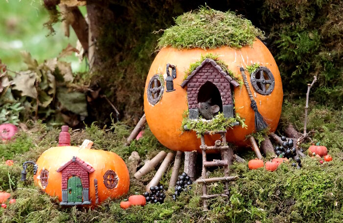 Pumpkin House, But Make It Mouse-Sized