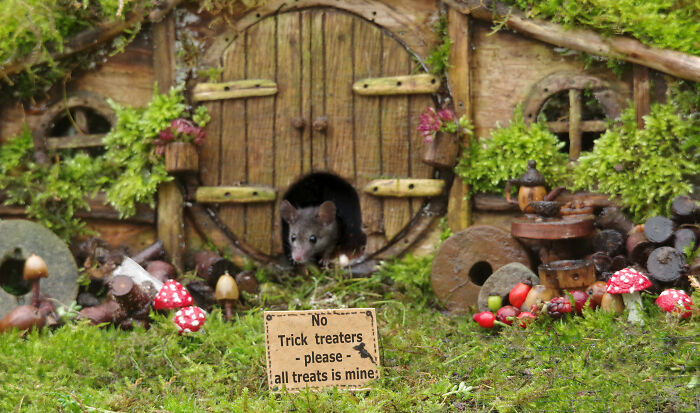 Grumpy Hobbit Mouse Says: No Trick-Or-Treaters!