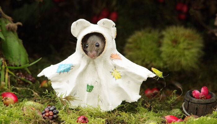 Ghost Mouse Is Too Spooky for Words