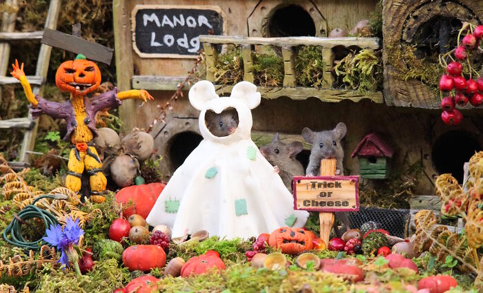 Ghost-Costumed Baby Mice on Trick-Or-Treat Duty