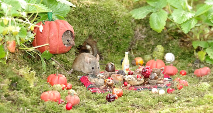 Mouse Family Halloween Picnic, Because Why Not?
