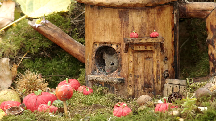 Tiny Mouse in Tiny Halloween Action