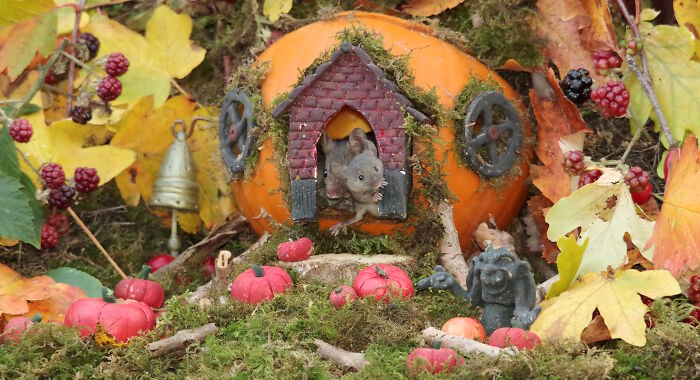 Pumpkin Cottage with a Doorstep Baby Mouse