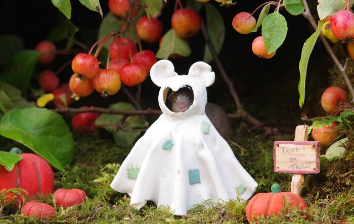 Another Scary (But Adorable) Ghost Mouse