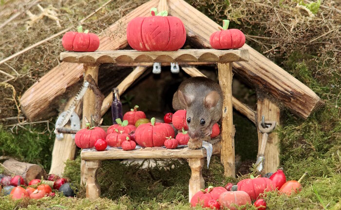 Mouse Pumpkin Seller Running the Market