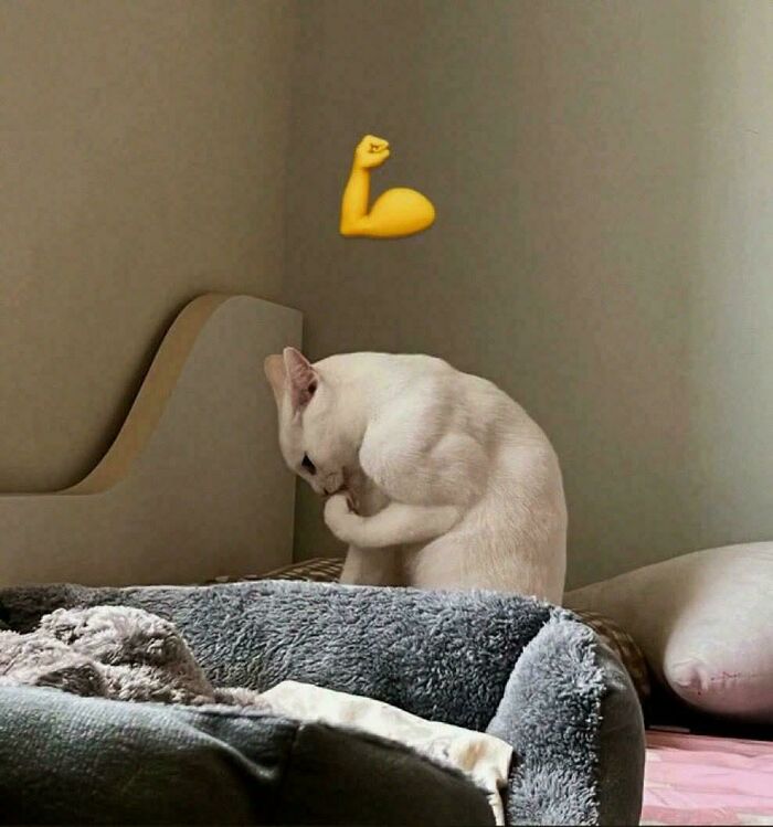 Pics That Go So Hard You Gotta See ‘Em!