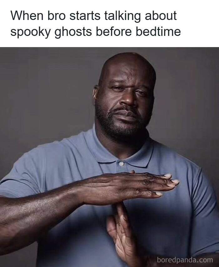 Wait, They Actually Ranked These Absurd 3AM Memes?!