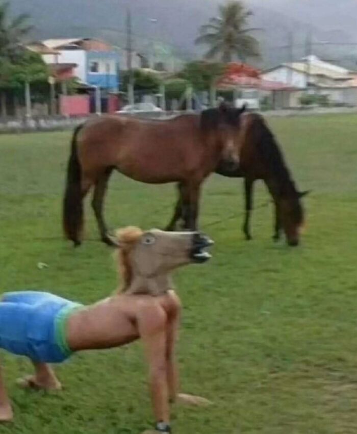 Wait, They Actually Ranked These Absurd 3AM Memes?!