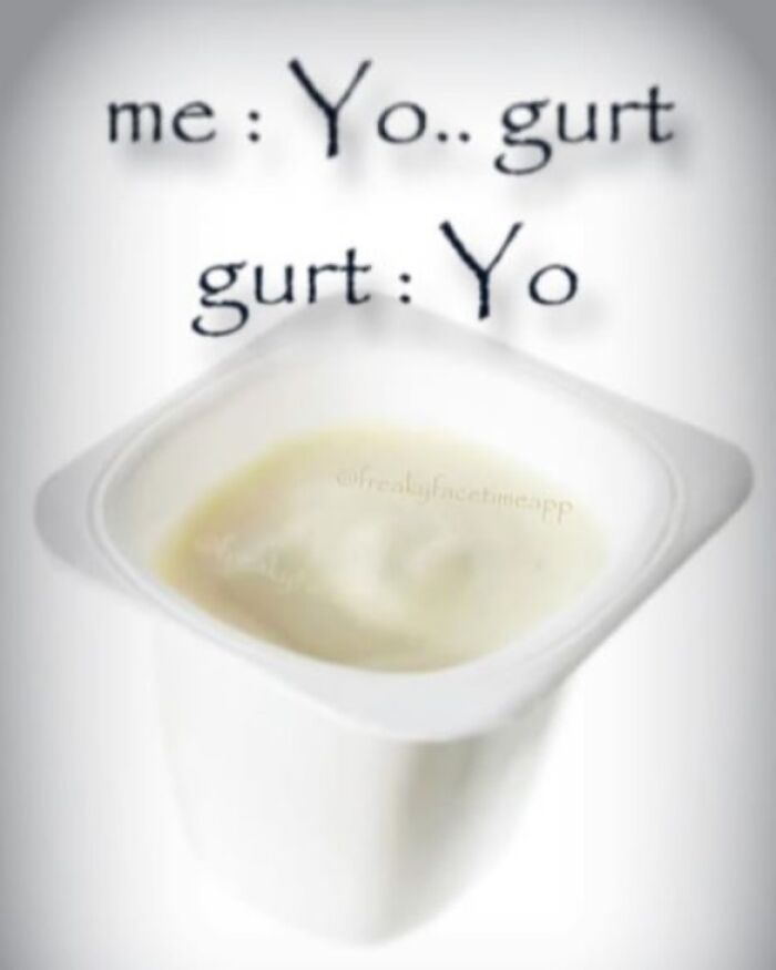 Wait, They Actually Ranked These Absurd 3AM Memes?!