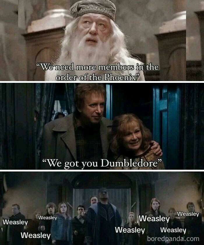 The Order of the Weasley Clan