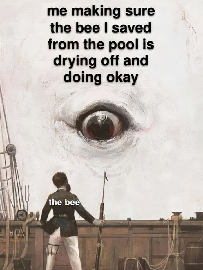 Wait, Things ONLY Get Weirder!