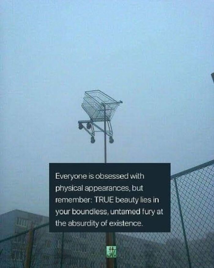 Wait, Things ONLY Get Weirder!