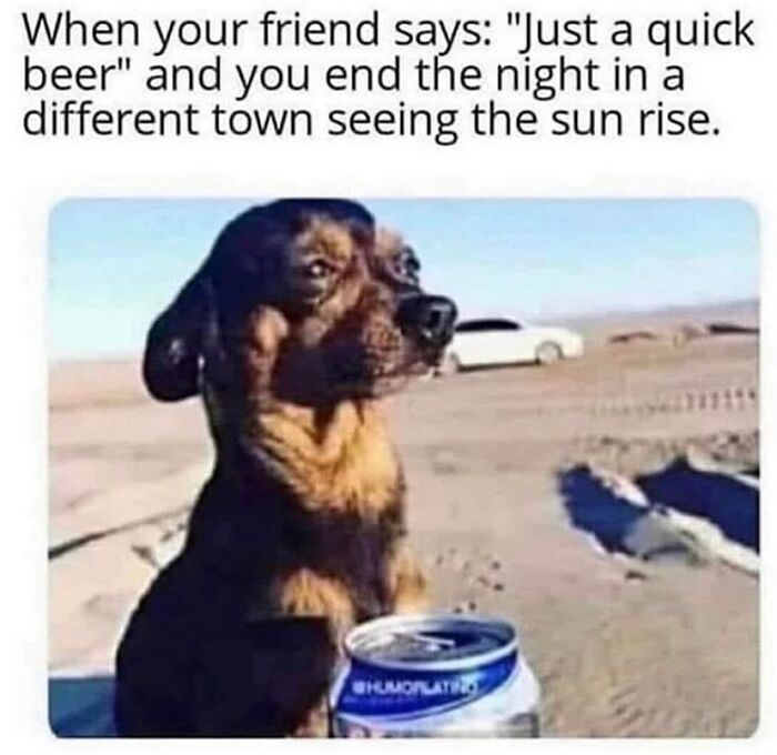 These Sky Babe Memes Are Basically Friendship Goals On Steroids