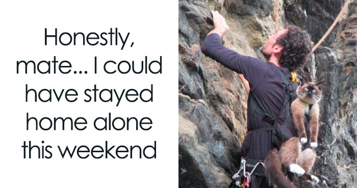 The Cutest Animal Pics That Will Totally Make Your Day