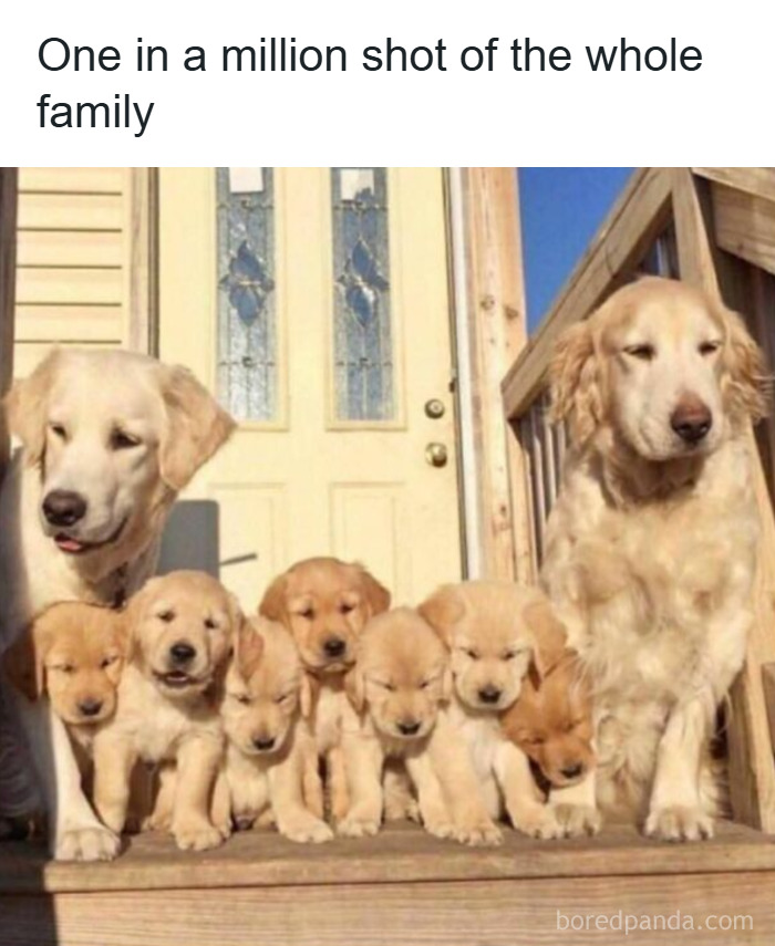 The Cutest Animal Pics That Will Totally Make Your Day