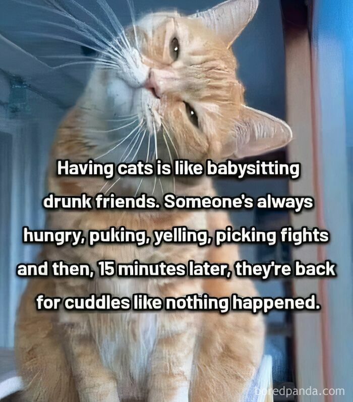 The Cutest Animal Pics That Will Totally Make Your Day