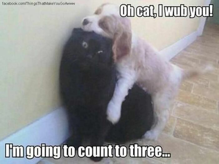 The Cutest Animal Pics That Will Totally Make Your Day