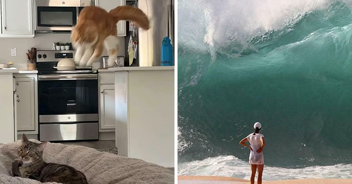 Oh Snap! 50 Photos That Caught Disaster Right Before It Happened