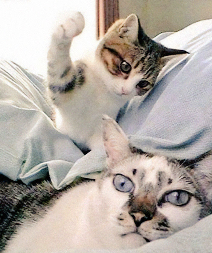 Turn! Turn! Turn! Quick!