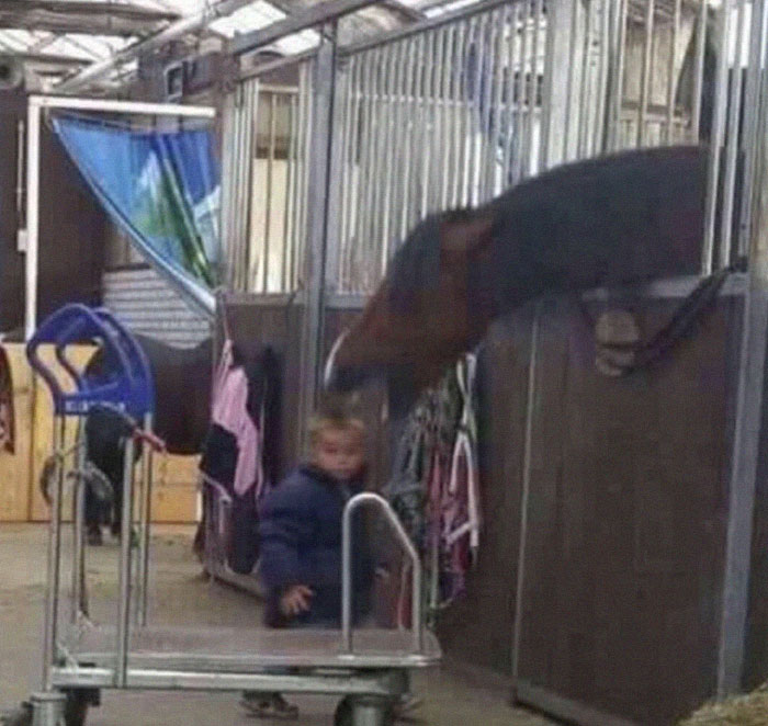 Oh Snap! 50 Photos That Caught Disaster Right Before It Happened