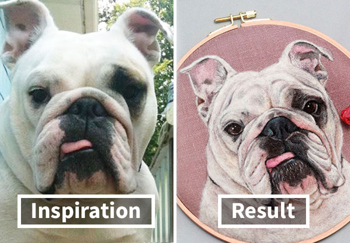 40 Wooly Pet Portraits That’ll Make You Go Aww!