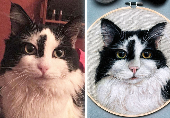 40 Wooly Pet Portraits That’ll Make You Go Aww!