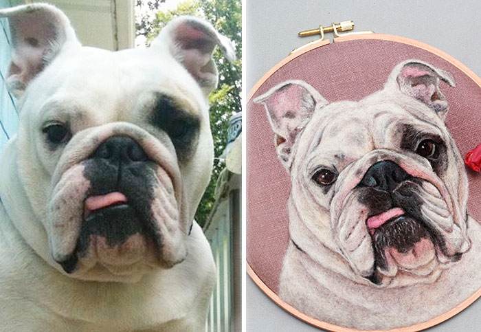 40 Wooly Pet Portraits That’ll Make You Go Aww!