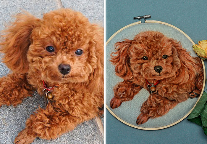 40 Wooly Pet Portraits That’ll Make You Go Aww!