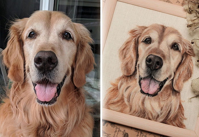 40 Wooly Pet Portraits That’ll Make You Go Aww!