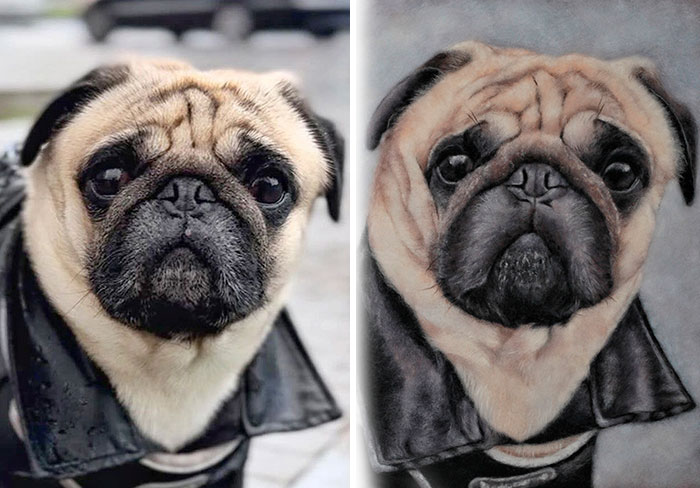 40 Wooly Pet Portraits That’ll Make You Go Aww!