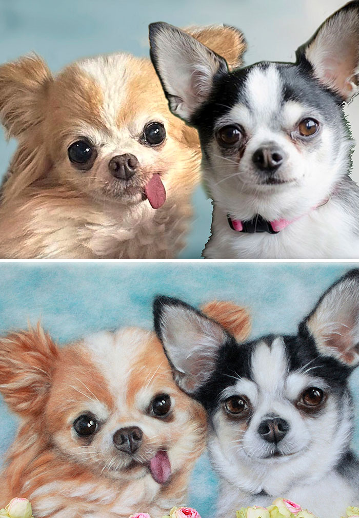 40 Wooly Pet Portraits That’ll Make You Go Aww!