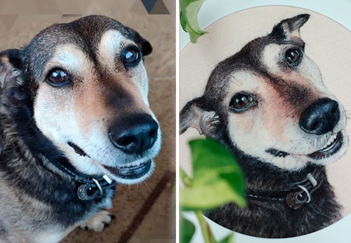 40 Wooly Pet Portraits That’ll Make You Go Aww!