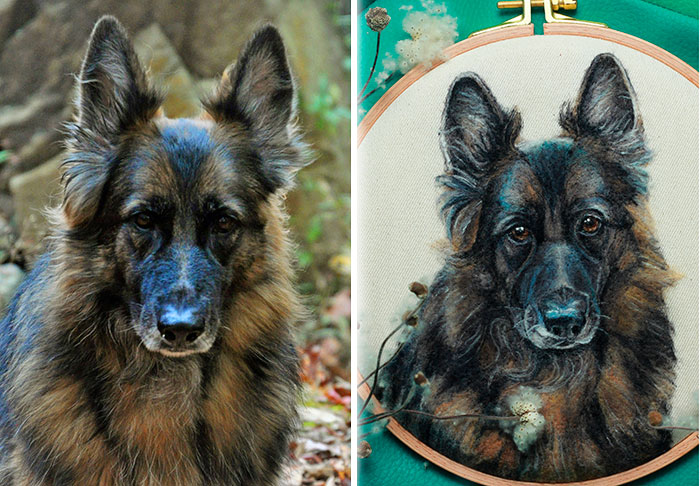 40 Wooly Pet Portraits That’ll Make You Go Aww!