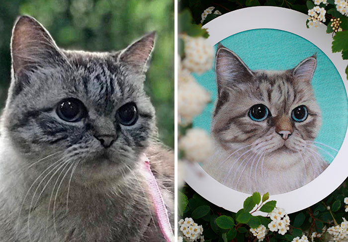 40 Wooly Pet Portraits That’ll Make You Go Aww!