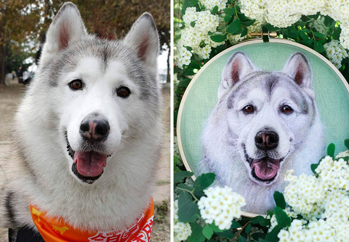 40 Wooly Pet Portraits That’ll Make You Go Aww!