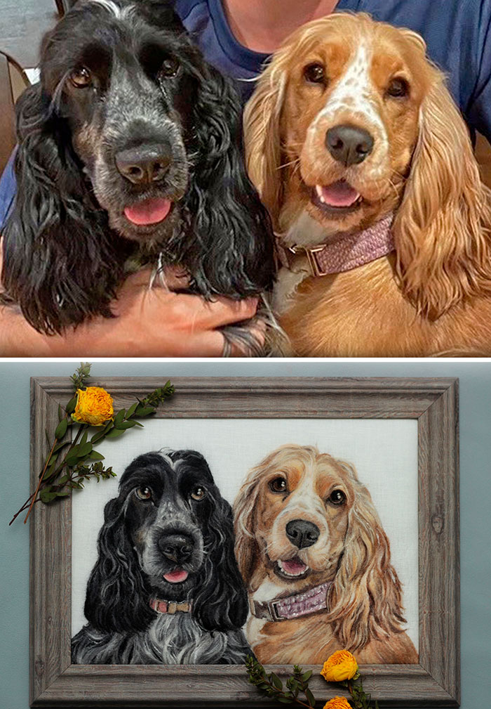40 Wooly Pet Portraits That’ll Make You Go Aww!