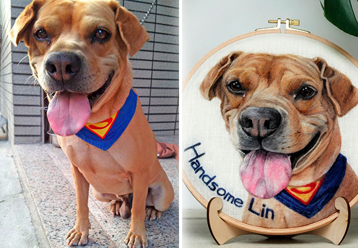 40 Wooly Pet Portraits That’ll Make You Go Aww!