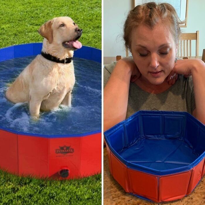 “Extra Large” Dog Pool? More Like Miniature Bathtub