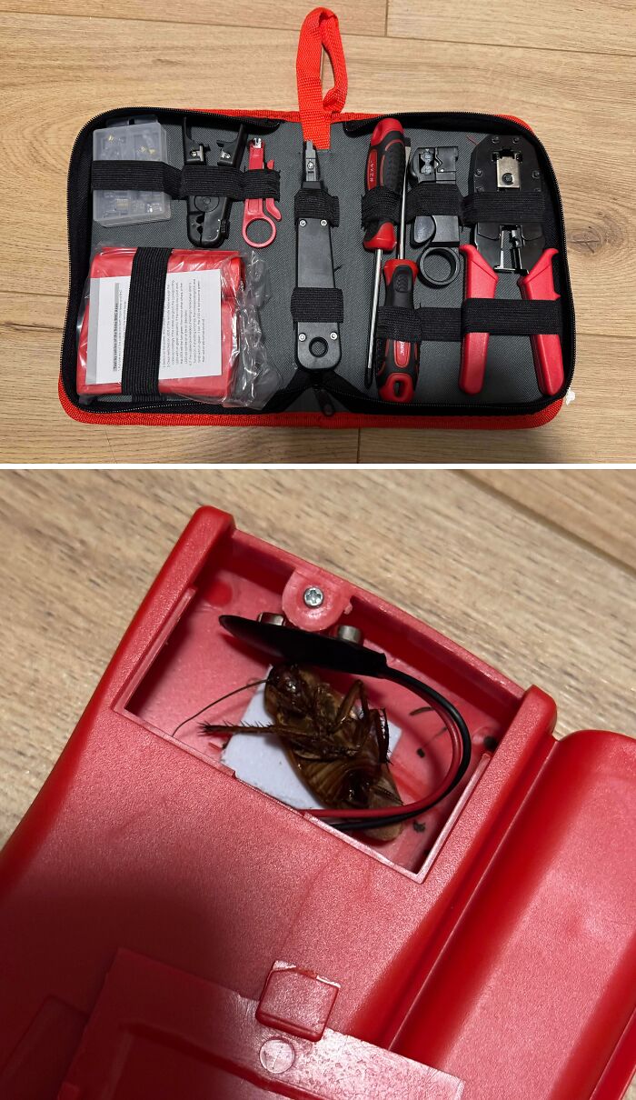 Ordered a Network Cable Tester, Got a Surprise Bonus Inside