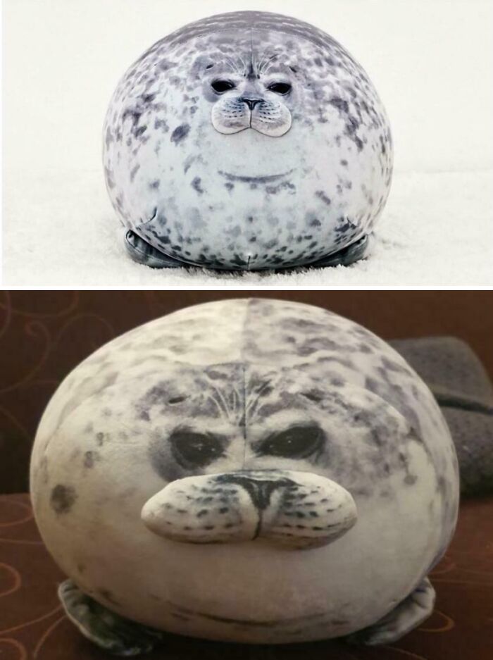 The Seal Plush Pillow I Ordered vs. The One That Arrived