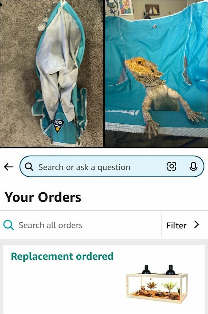 Ordered a Lizard Tank, Got a Chair? Huh?