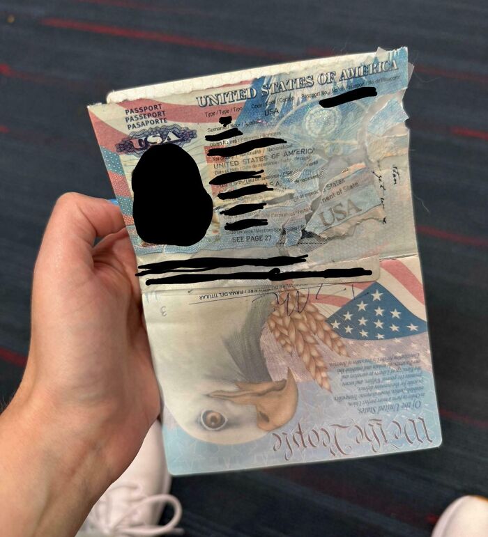 Our Dog Chewed Up My Wife’s Passport Right Before Our Trip!