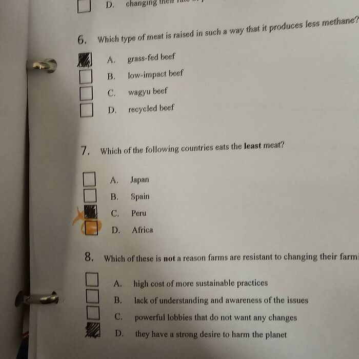 Teacher Marked Me Wrong Because Africa Is A Country Now? Wait, What?