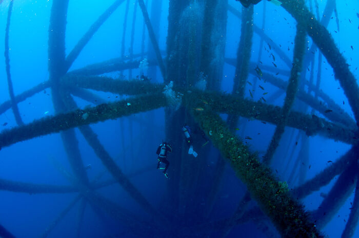Deep Divers Hanging Under an Oil Rig