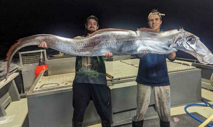 Fishermen Catch This Insane 'Doomsday Fish' That Looks Straight Out of a Horror Movie
