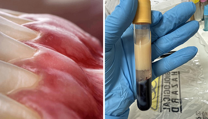 Wait, People Actually Share These Wild Medical Moments?!