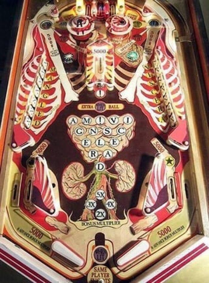 An Anatomy Pinball Machine? Yes, Please!