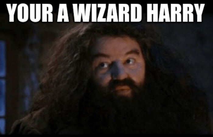 Wait, They Actually Made These 40 Hilarious Harry Potter Memes? (Part 3)