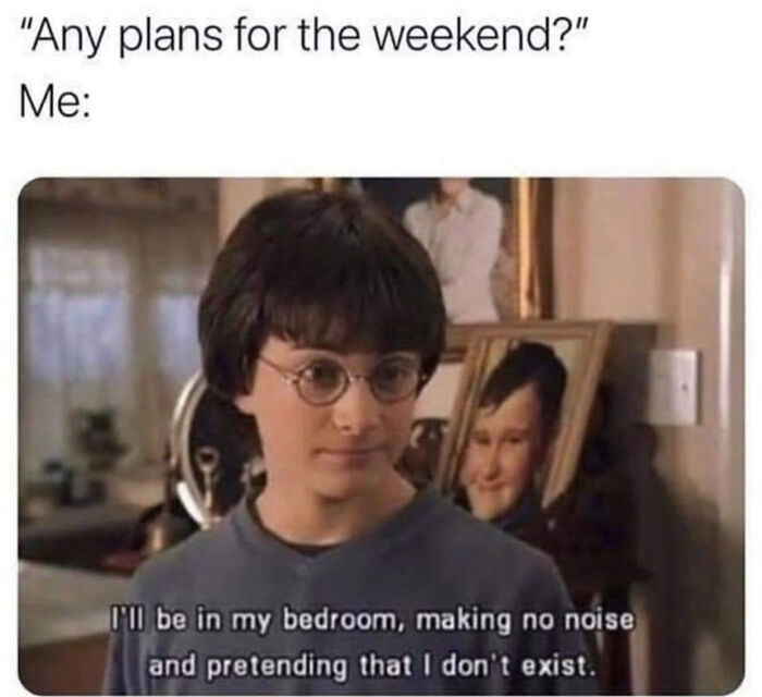 Same, I Hate The Dursleys Too