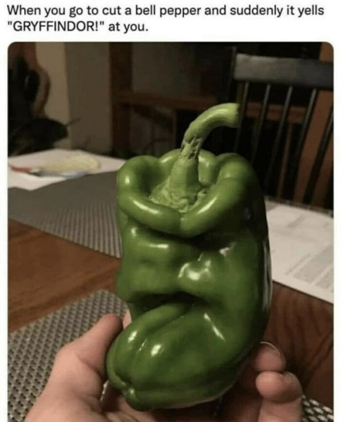 Veggies Sorting Me Into Hogwarts? Yes, Please!